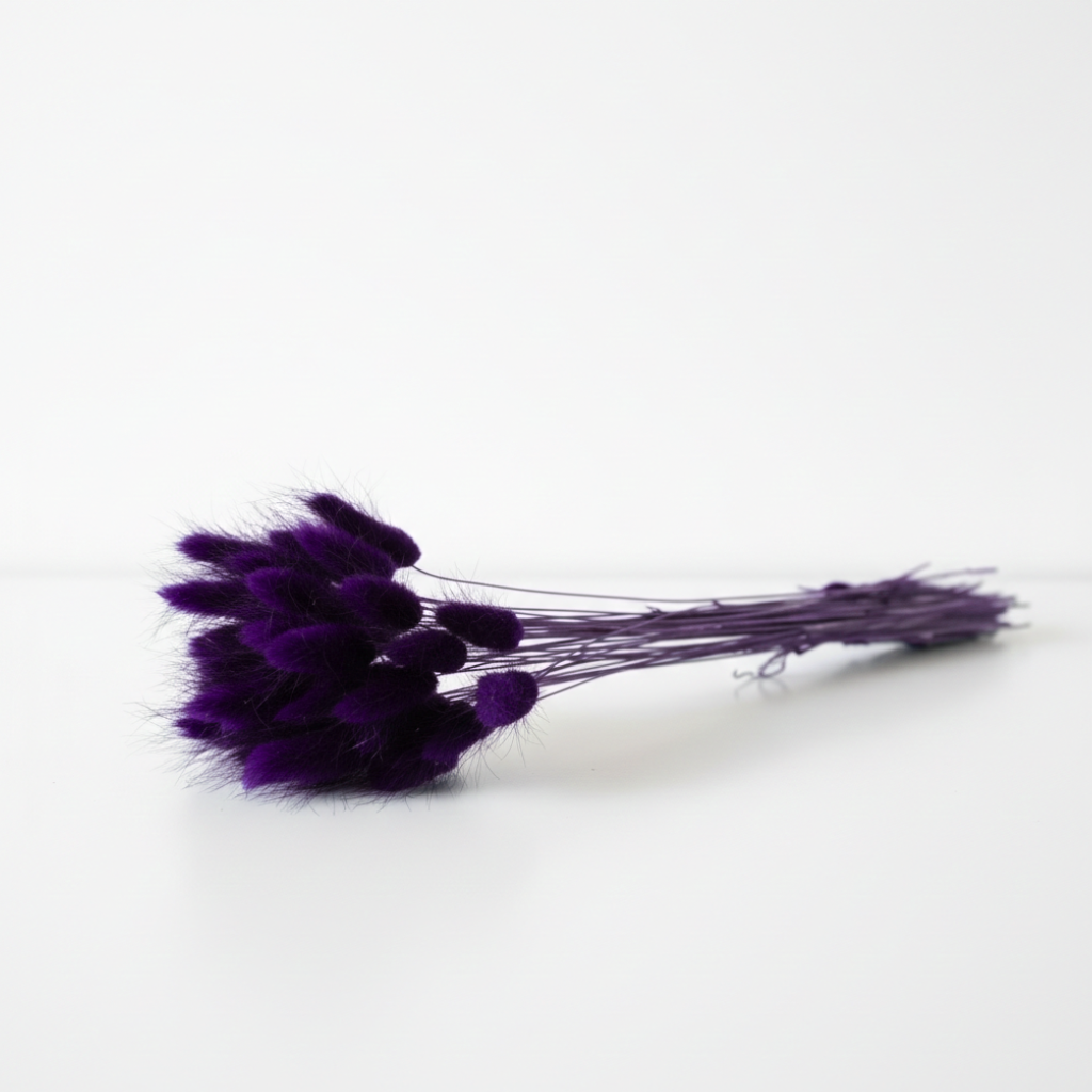 Lagurus sušený tmavě fialový – hebké sušené klasy do kytic, věnců a aranžmá